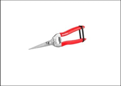 Fruit Pruning Shear